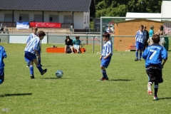 HWP12_D_32