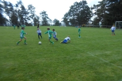DSCN1881