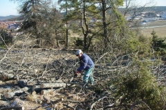 SVB_05_Landschaftspflege_012