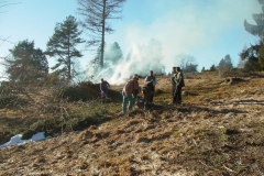 SVB_05_Landschaftspflege_017